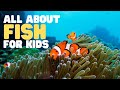 All About Fish For Kids Learn The Characteristics Of Fish What Is A Fish