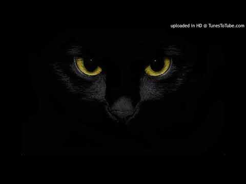 Vintage Culture & Wolf Player & Jets - Things