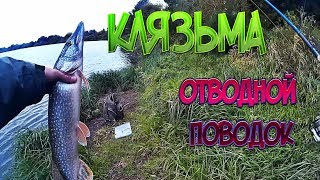 Места ловли щуки на клязьме