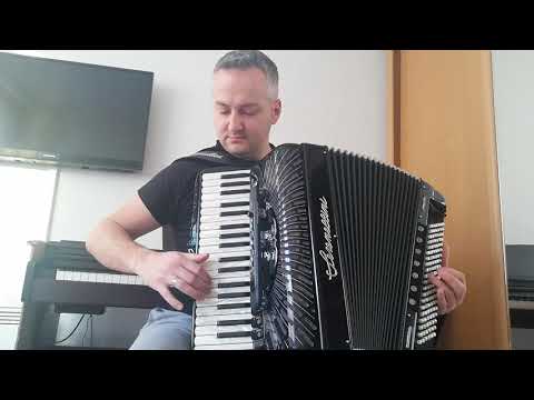 Šaban Šaulić foršpil " Golubica" harmonika cover Mirza Babanović