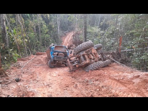 Cruzeta Quebra e Trator não Dá conta de puxar Caminhão! #natureza #tratores #madeira #acidente