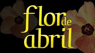 FLOR ABRIL - HD