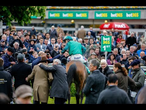 bet365 Jump Finale 2019 | Sandown Park Racecourse