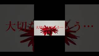 【#Blurry Eyes】【#ラルク】【#shorts】【#永久機関】Blurry Eyes/L'Arc〜en〜Ciel guitarcovered by フクレモ.