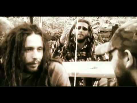 Roe Delgado - Grandes amigos (Caribbean riddim)