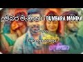 Dumbara manika lyrics video (dilshan maduranga)