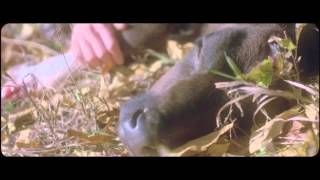 Kan Wakan - Moving On Full Album + Download Link