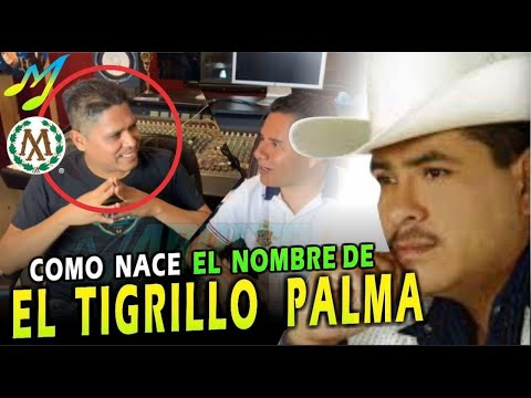 download lagu mp3 mp4 Biografia Tigrillo Palma, download lagu Biografia Tigrillo Palma gratis, unduh video klip Biografia Tigrillo Palma