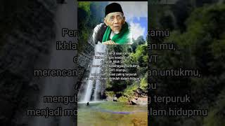 Download lagu KH Maimoen Zubair (Mbah Moen). #mbahmoen. #khmaimoenzubair mp3