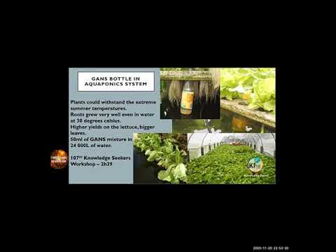 2020 11 20 PM Public Teaching in Spanish - Enseñanzas públicas en Español