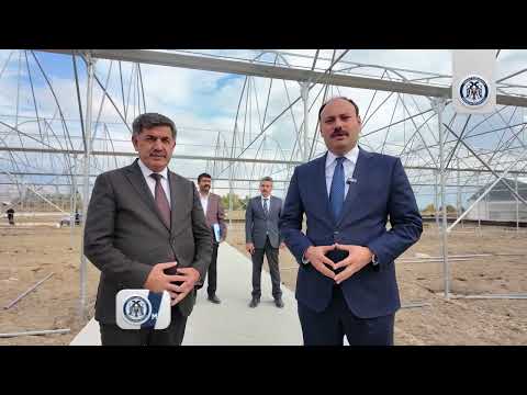 Erzincan Toplu Sera Bölgesi. 22.10.2025