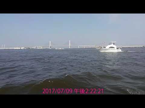 NEGRUCHA    17-1006#504