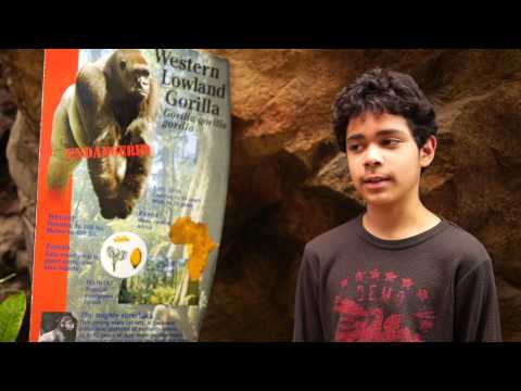What Kids Are Saying | Zoo New England	