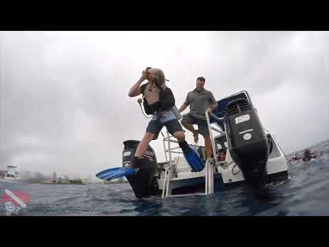 Boat departing Kewalo Basin Harbor in Honolulu for a Rainbow Scuba Hawaii dive