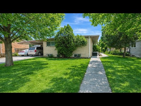 Weber Triplex - Video 2 of 2