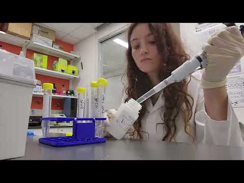 Choose Development! - Sofia Rebull