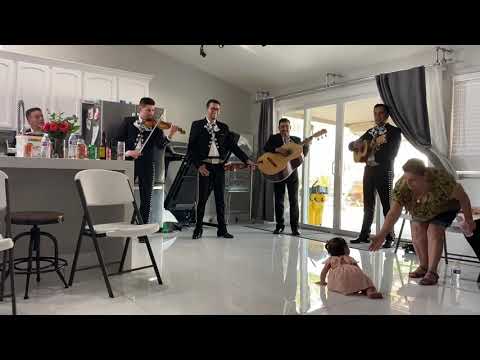 Baby shark mariachi