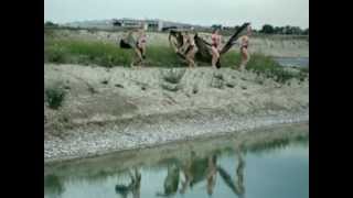 SoS Anthem: Philipp Quehenberger & SUW Schwimmunion /  synchronized swimming