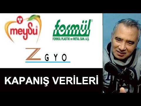 Initial Public Offering Closing Data - Meysu - Formül Plastik - Z-gyo