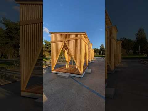 Новая городская среда для отдыха. Таллинн, пляж Пирита. Октябрь 2023.