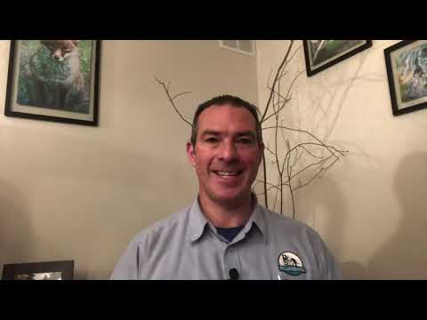 Deconstructed Quotes - Day 160 - Robert Bresson - Make Visible Today what Without You, Might Perhaps