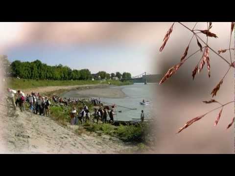 Wissensflut.tv: Die Salzach Wissensflut.tv: Die Salzach