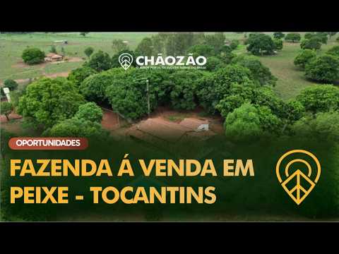Fazenda á venda em Peixe - Tocantins