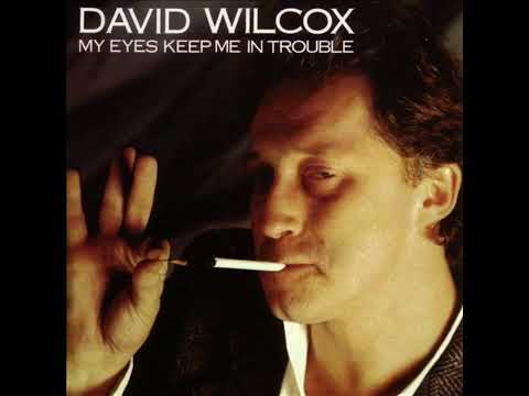 I See You - David Wilcox (Canada)