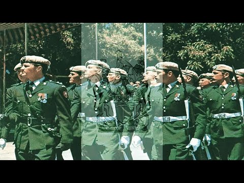 Homesick To A Place That No Longer Exists ┃A Tribute To Rhodesia