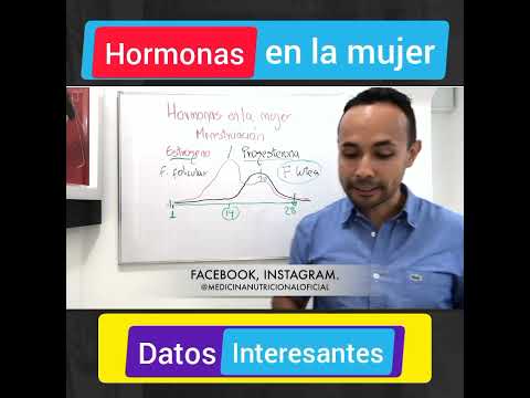 Conoce cómo funcionan tus hormonas!