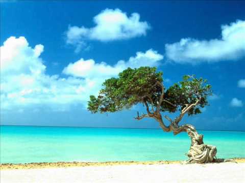Steve Paradise feat. Vera Medina - Um belo dia de sol - Original Mix