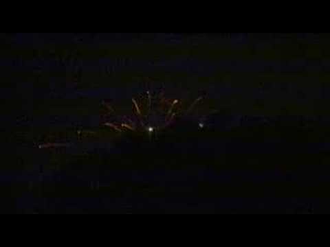 Poliisi Tv 31.12.2005 Ylivieska