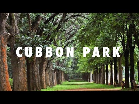 Cubbon Park | Bangalore City | Karnataka Tourism | After lockdown