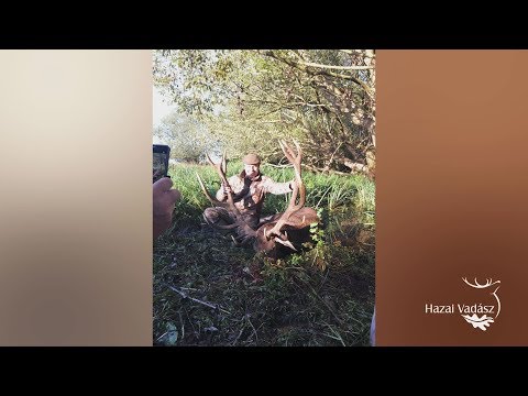 NIMRÓD Percek: Rekordbikák a Sümegi Kinizsi Vt.-nél - 243. - 2018.12.01-i adás