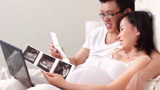 C4: Ignite Your Catholic Faith - What Does Pro-Life Really Mean?