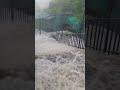 Pavagadh Mahakali Mandir Mahakali Pavagadhtemple Pavagadh Varshad Shorts