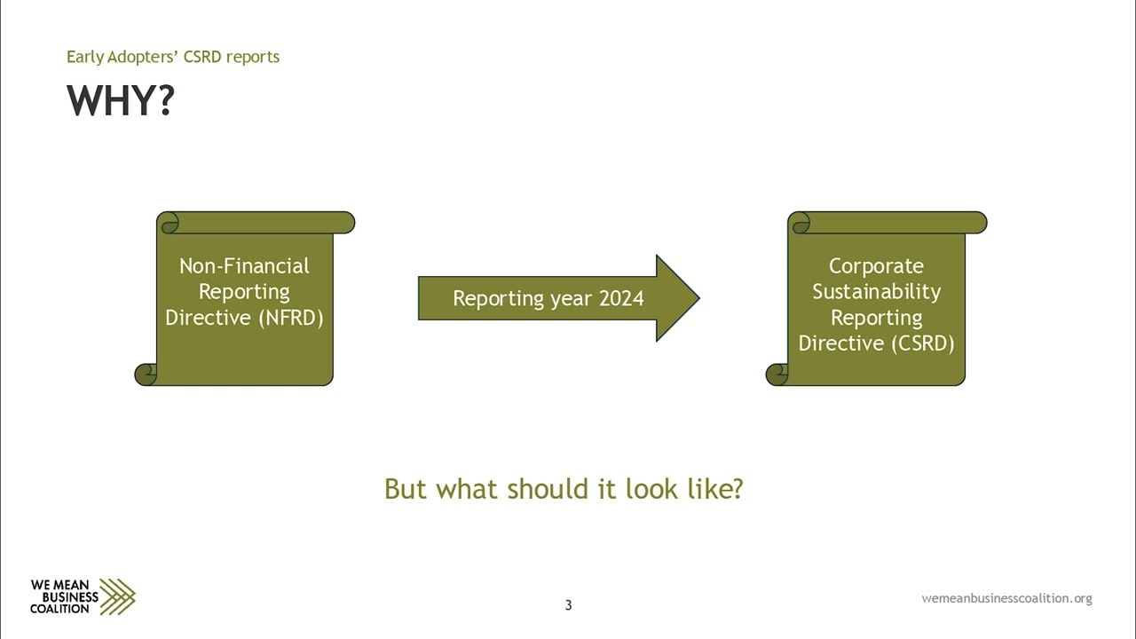 Leading sustainability reporting: Introducing the CSRD Early Adopters Report