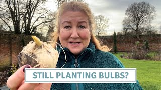Is It Too Late to Plant Bulbs? & Sowing Larkspur // Cottoverdi