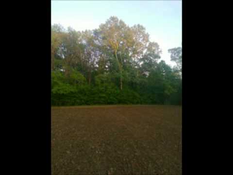 Željko Sesvečan - Tu sam rođen tu ću i umrijeti