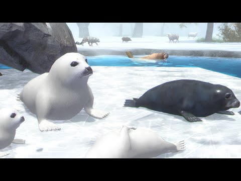 Seal VS All Boss - Ultimate Arctic Simulator (By Gluten Free Games) - YouTube