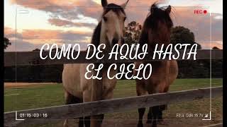 BRONCO MI CARIÑO ES GRANDE