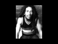 Bob Marley and the Wailers - Babylon System ...