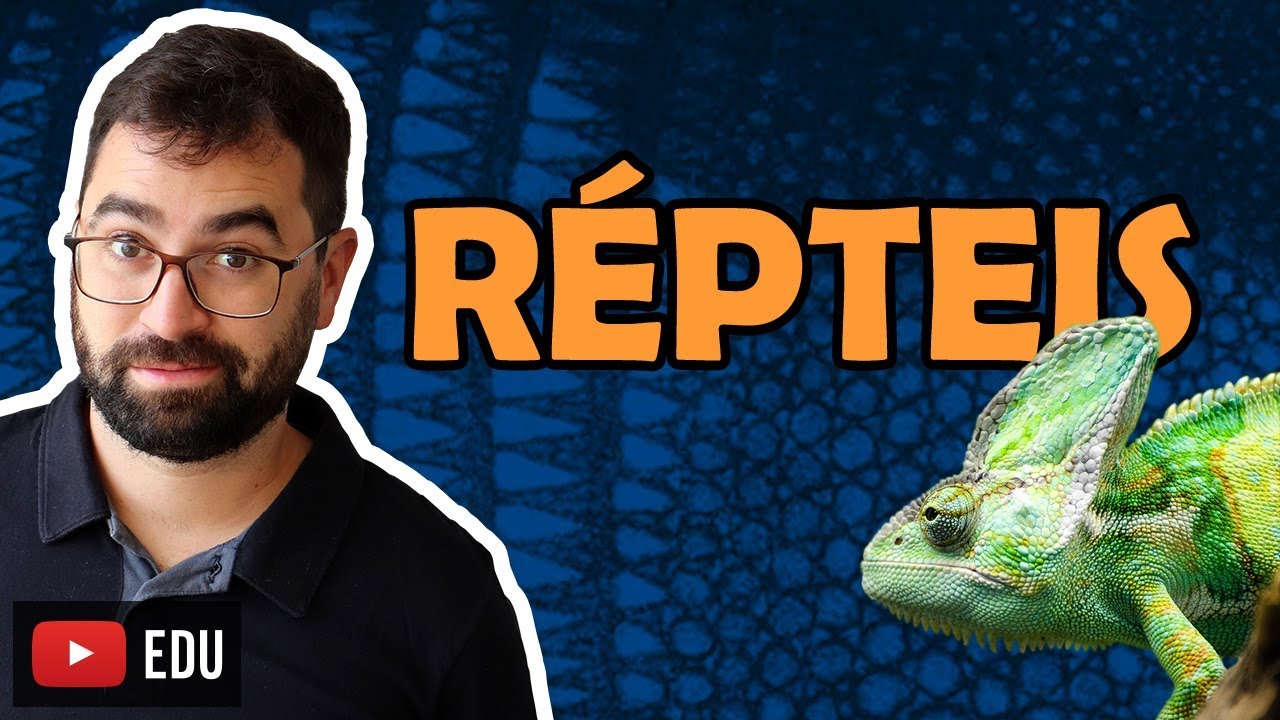 Répteis - Aula 30 - Módulo VI: Zoologia | Prof. Gui