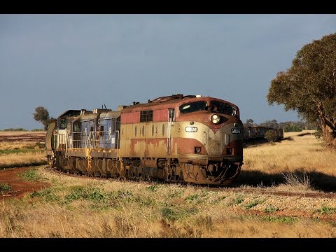 GM Bulldogs in Australia: GM36 on Oaklands Grain