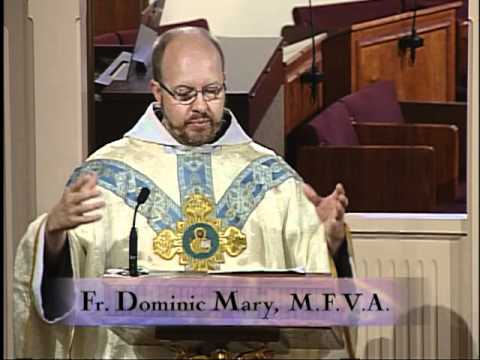 Homily 08-22-2011 - Fr. Mark Mary - Feria