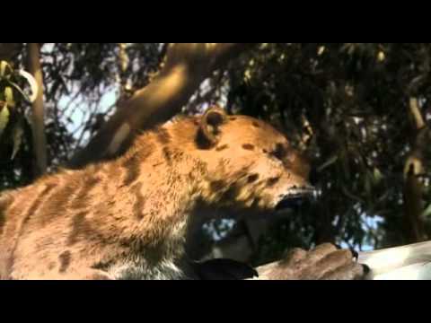 Giganten der Urzeit E04 Die tödlichen Jäger Deutsch