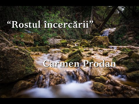 Carmen Prodan  " Rostul incercarii"