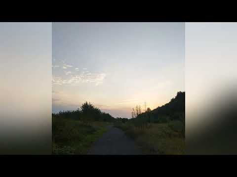 kyotofalco - 2ooLit! (Official Audio)