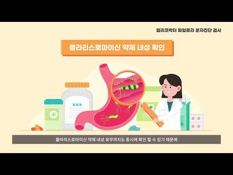 [씨젠의료재단] 검사홍보 동영상_9_헬리코박터 파일로리 분자진단 검사