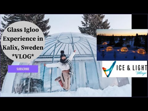 We stayed in a Glass Igloo in Kalix, Sweden😱WHAT AN EXPERIENCE!😍